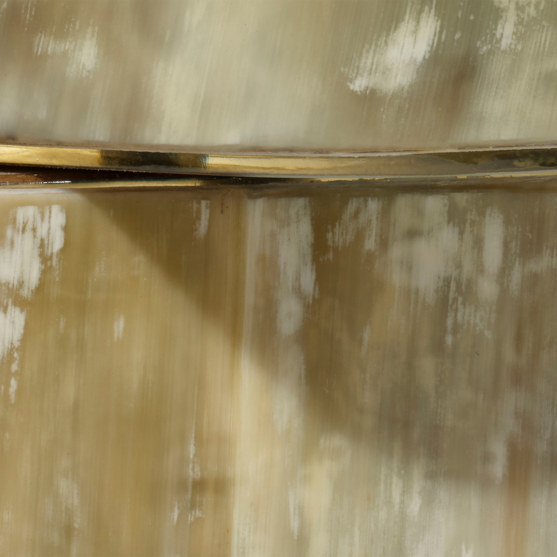 1stag tlcr alternate image1 close up 09 2025