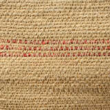 10trop baor alternate image1 close up 04 2025