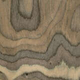 1cany tlgr alternate image1 close up 09 2025