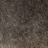 1colu tlgh close%20up