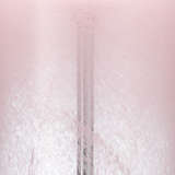 1dahl tlpi close%20up