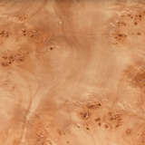 1para tlna alternate image close up