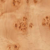 1parall flna alternate image close up