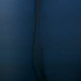 1plum xlbl close%20up