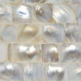 1pres tlmop alternate image1 detail 04 2024