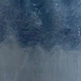 1twil tlbl close%20up revised1