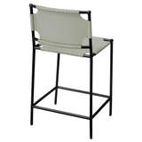 20ashe csdg alternate image1 back 02 2022 revised