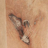 20dyla stww alternate image close up