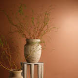 20naga stna%20 beauty crop3 10 2023