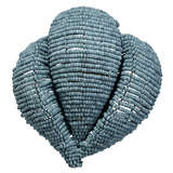 4angu scbl main image 04 2025