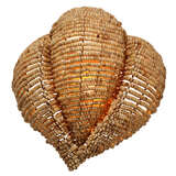 4angu scna alternate image1 lit 04 2025