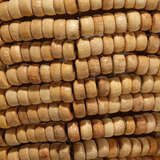 4angu scna alternate image4 close up 04 2025