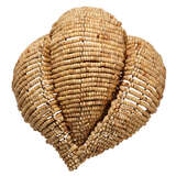 4angu scna main image 04 2025