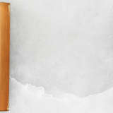 4delp scab close%20up