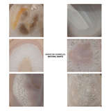 4trin sclv close%20up 6variations