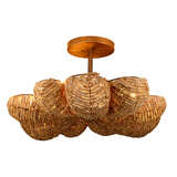 5angu fmna alternate image1 lit 04 2025