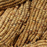 5angu smcr alternate image2 close up 08 2025