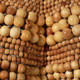 5clam smna alternate image3 close up 09 2024