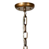 5clam xlna alternate image canopy 10 2023