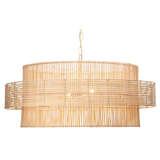 5conc pdna alternate image1 lit 03 2021