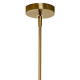 5cong pena alternate image canopy 09 2024