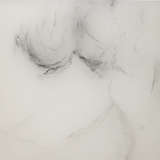 5elan pdab alternate image close up 10 2020