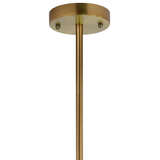 5holt peta alternate image canopy 04 2024