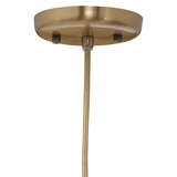 5soph clbr alternate image2 canopy 05 2020 ecat