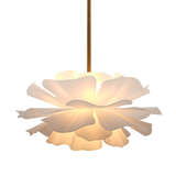 5zinn chsm alternate image1 lit 04 2025