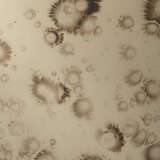 6cham smag alternate image2 close up 08 2025