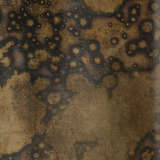 6empi miaw alternate image2 close up 08 2025