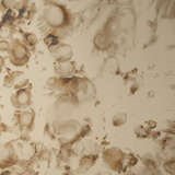 6vers miag alternate image2 close up 08 2025