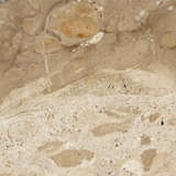 7cres marb alternate image close up