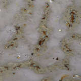 7crus lggr alternate image1 detail 04 2024