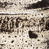 7jone vabebk alternate image close up