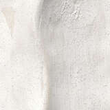 7lily vawh alternate image1 detail 04 2024