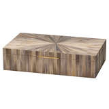 7palm bogr main image 10 2023