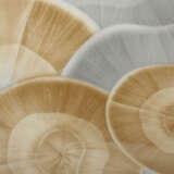 7pura vabl alternate image1 close up 09 2024