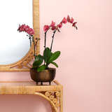 7reli lgab alternate image beauty crop 8 10 2022