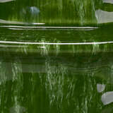 7satu lggrn alternate image1 detail 04 2024