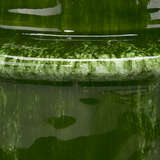 7satu mdgrn alternate image1 detail 04 2024