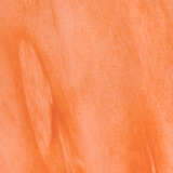 7sequ lgpo alternate image1 close up 04 2025