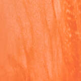 7sequ smpo alternate image1 close up 04 2025