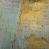 7sevi vabl alternate image1 closeup 04 2025 new