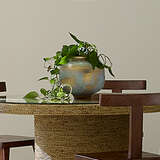 7sevi vabl alternate image beauty crop 09 2024 new