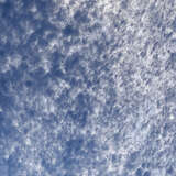 7spla bobl alternate image1 close up 09 2024