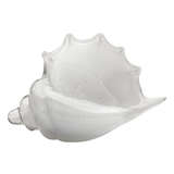 7trit shwh 1904tritonshell whiteglass