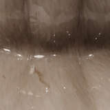 9agnestltasc alternate image1 close up 09 2024