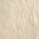 9dotttltana alternate image1 detail 04 2024