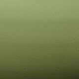 9mosstlsg alternate image1 close up 09 2025